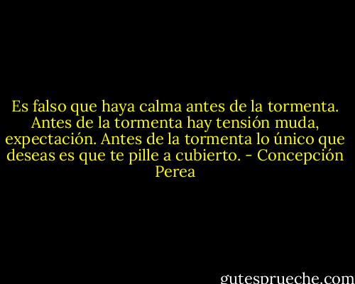Es falso que haya calma antes de la tormenta. Antes de la tormenta hay tensión muda, expectación. Antes de la tormenta lo único que deseas es que te pille a cubierto. - Concepción Perea