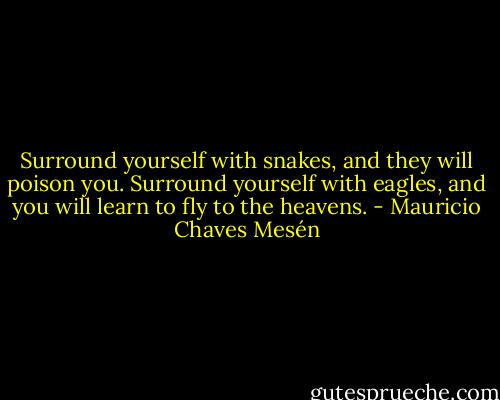 Surround yourself with snakes, and they will poison you. Surround yourself with eagles, and you will learn to fly to the heavens. - Mauricio Chaves Mesén