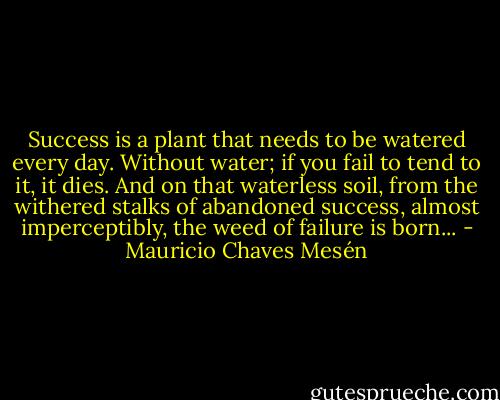 Success is a plant that needs to be watered every day. Without water; if you fail to tend to it, it dies. And on that waterless soil, from the withered stalks of abandoned success, almost imperceptibly, the weed of failure is born... - Mauricio Chaves Mesén