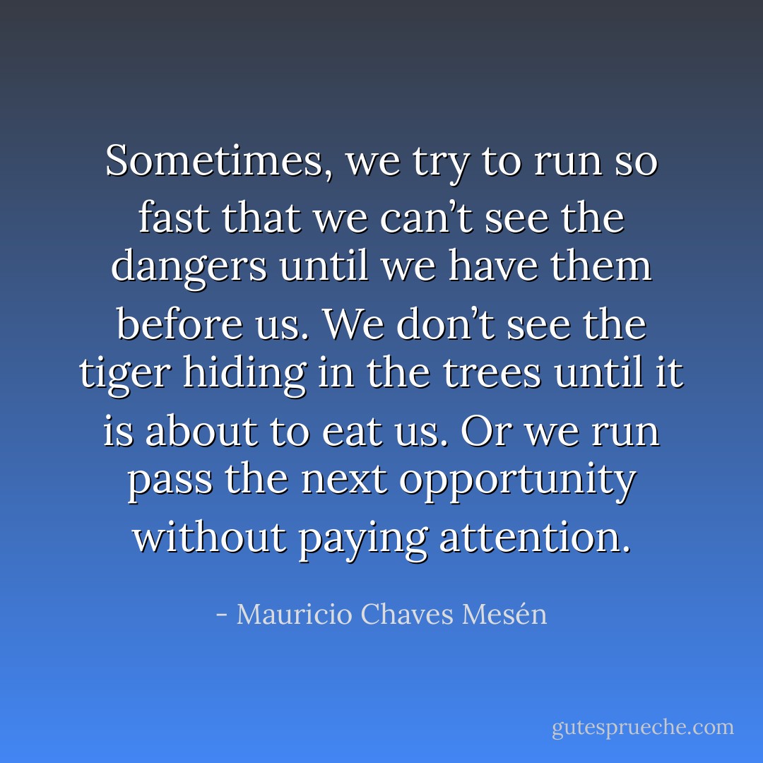 Sometimes, we try to run so fast that we can’t see the dangers until we have them before us. We don’t see the tiger hiding in the trees until it is about to eat us. Or we run pass the next opportunity without paying attention. - Mauricio Chaves Mesén
