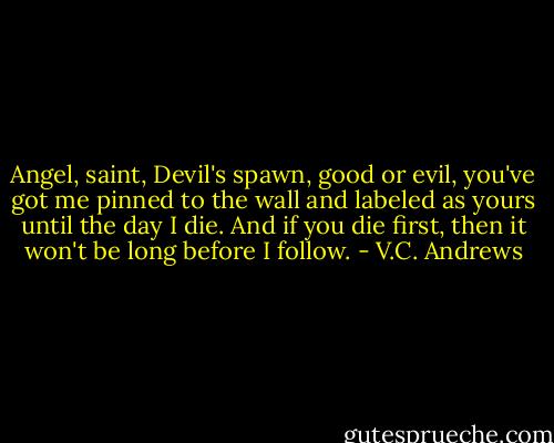 Angel, saint, Devil's spawn, good or evil, you've got me pinned to the wall and labeled as yours until the day I die. And if you die first, then it won't be long before I follow. - V.C. Andrews