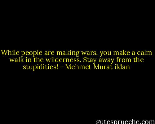 While people are making wars, you make a calm walk in the wilderness. Stay away from the stupidities! - Mehmet Murat ildan