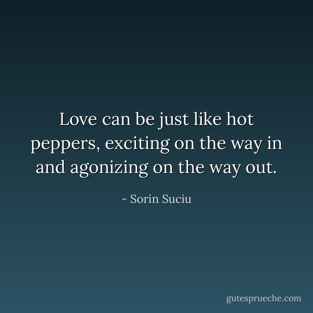 Love can be just like hot peppers, exciting on the way in and agonizing on the way out. - Sorin Suciu