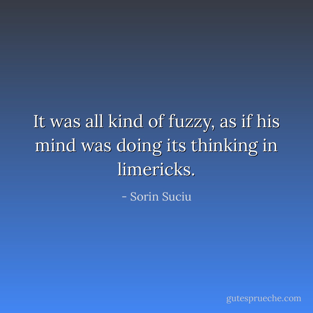 It was all kind of fuzzy, as if his mind was doing its thinking in limericks. - Sorin Suciu