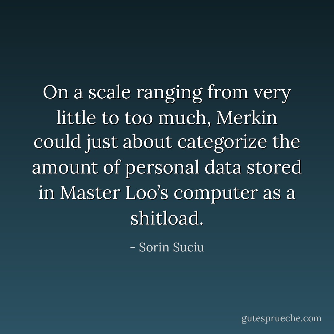 On a scale ranging from very little to too much, Merkin could just about categorize the amount of personal data stored in Master Loo’s computer as a shitload. - Sorin Suciu
