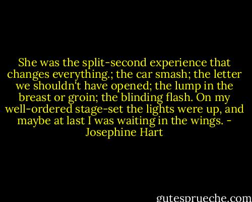 She was the split-second experience that changes everything.; the car smash; the letter we shouldn't have opened; the lump in the breast or groin; the blinding flash. On my well-ordered stage-set the lights were up, and maybe at last I was waiting in the wings. - Josephine Hart