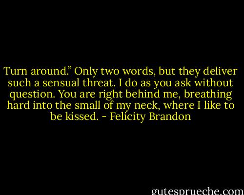Turn around.”<br />Only two words, but they deliver such a sensual threat.<br />I do as you ask without question. You are right behind me, breathing hard into the small of my neck, where I like to be kissed. - Felicity Brandon