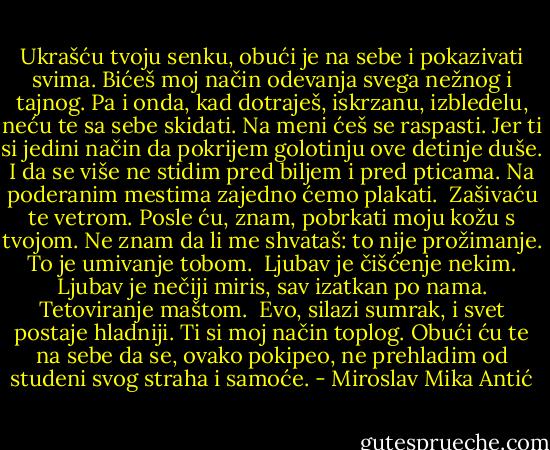 Ukrašću tvoju senku, obući je na sebe i<br />pokazivati svima. Bićeš moj način odevanja<br />svega nežnog i tajnog. Pa i onda, kad<br />dotraješ, iskrzanu, izbledelu, neću te sa sebe<br />skidati. Na meni ćeš se raspasti.<br />Jer ti si jedini način da pokrijem golotinju<br />ove detinje duše. I da se više ne stidim pred<br />biljem i pred pticama.<br />Na poderanim mestima zajedno ćemo plakati.<br /><br />Zašivaću te vetrom. Posle ću, znam, pobrkati<br />moju kožu s tvojom. Ne znam da li me<br />shvataš: to nije prožimanje.<br />To je umivanje tobom.<br /><br />Ljubav je čišćenje nekim. Ljubav je nečiji<br />miris, sav izatkan po nama.<br />Tetoviranje maštom.<br /><br />Evo, silazi sumrak, i svet postaje hladniji.<br />Ti si moj način toplog. Obući ću te na sebe<br />da se, ovako pokipeo, ne prehladim od<br />studeni svog straha i samoće. - Miroslav Mika Antić