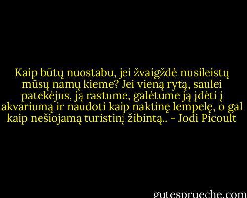 Kaip būtų nuostabu, jei žvaigždė nusileistų mūsų namų kieme? Jei vieną rytą, saulei patekėjus, ją rastume, galėtume ją įdėti į akvariumą ir naudoti kaip naktinę lempelę, o gal kaip nešiojamą turistinį žibintą.. - Jodi Picoult