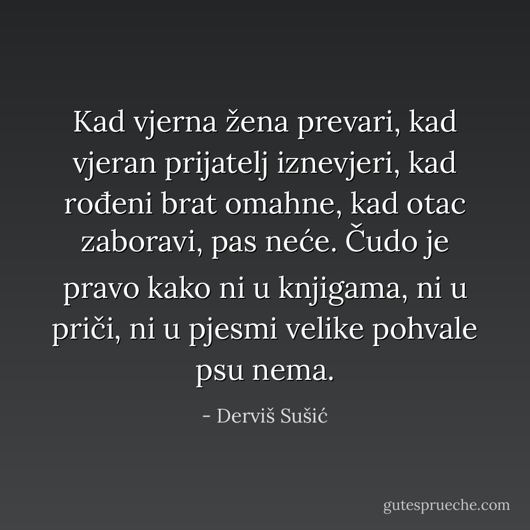 Kad vjerna žena prevari, kad vjeran prijatelj iznevjeri, kad rođeni brat omahne, kad otac zaboravi, pas neće. Čudo je pravo kako ni u knjigama, ni u priči, ni u pjesmi velike pohvale psu nema. - Derviš Sušić