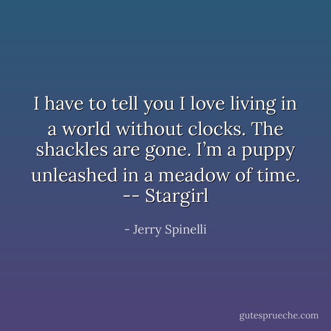 I have to tell you I love living in a world without clocks. The shackles are gone. I’m a puppy unleashed in a meadow of time. -- Stargirl - Jerry Spinelli