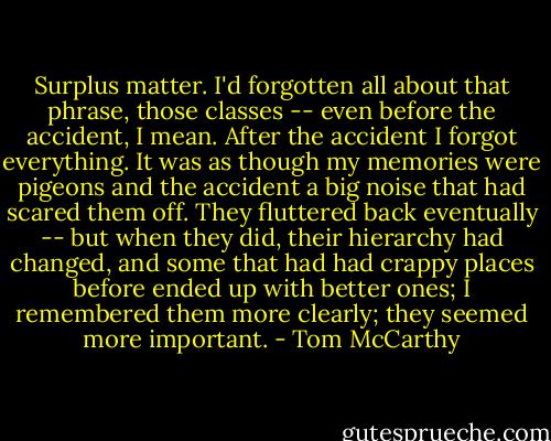 Surplus matter. I'd forgotten all about that phrase, those classes -- even before the accident, I mean. After the accident I forgot everything. It was as though my memories were pigeons and the accident a big noise that had scared them off. They fluttered back eventually -- but when they did, their hierarchy had changed, and some that had had crappy places before ended up with better ones; I remembered them more clearly; they seemed more important. - Tom McCarthy