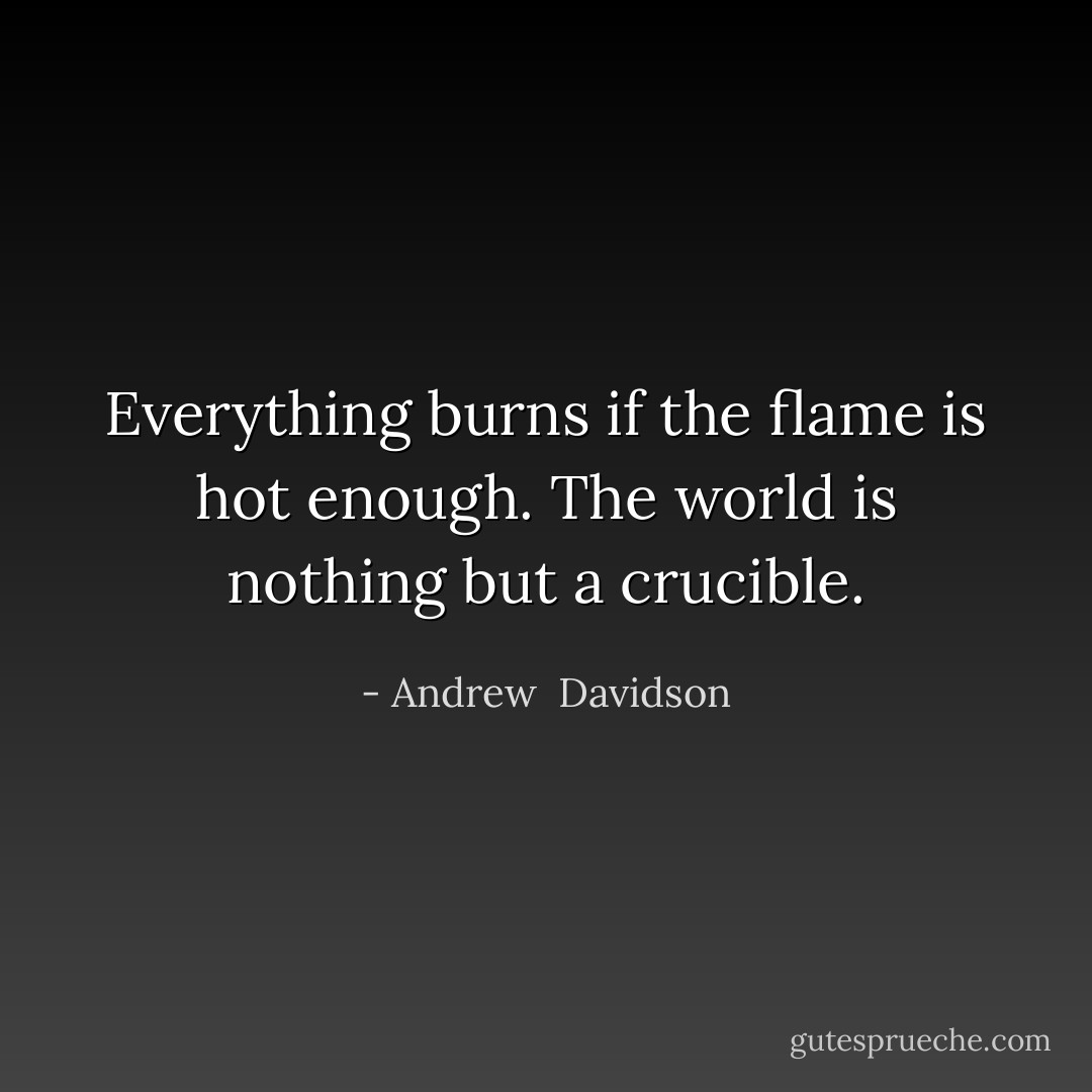 Everything burns if the flame is hot enough. The world is nothing but a crucible. - Andrew  Davidson