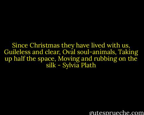 Since Christmas they have lived with us,<br />Guileless and clear,<br />Oval soul-animals,<br />Taking up half the space,<br />Moving and rubbing on the silk - Sylvia Plath