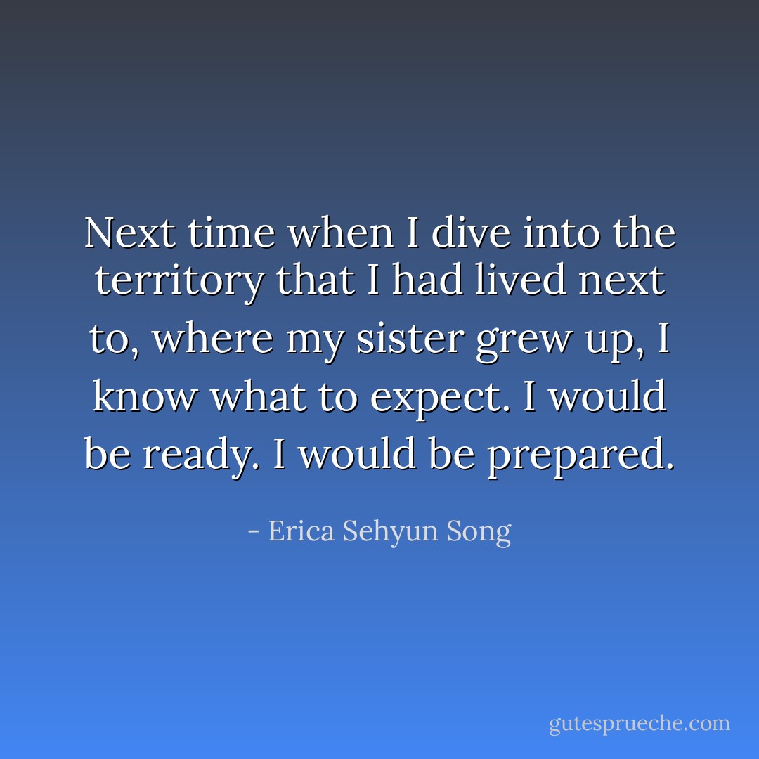 Next time when I dive into the territory that I had lived next to, where my sister grew up, I know what to expect. I would be ready. I would be prepared. - Erica Sehyun Song