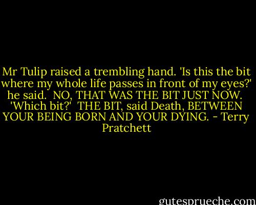 Mr Tulip raised a trembling hand. 'Is this the bit where my whole life passes in front of my eyes?' he said.<br /><br />NO, THAT WAS THE BIT JUST NOW.<br /><br />'Which bit?'<br /><br />THE BIT, said Death, BETWEEN YOUR BEING BORN AND YOUR DYING. - Terry Pratchett