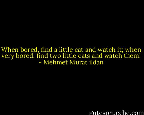 When bored, find a little cat and watch it; when very bored, find two little cats and watch them! - Mehmet Murat ildan