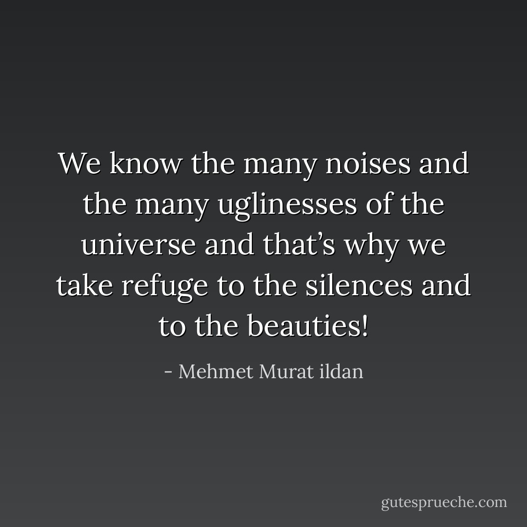 We know the many noises and the many uglinesses of the universe and that’s why we take refuge to the silences and to the beauties! - Mehmet Murat ildan