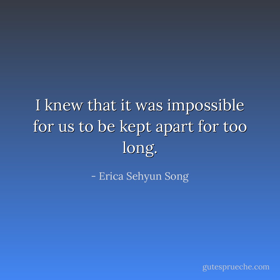 I knew that it was impossible for us to be kept apart for too long. - Erica Sehyun Song