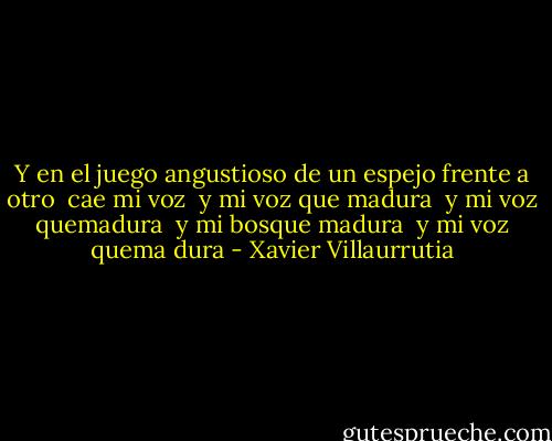 Y en el juego angustioso de un espejo frente a otro <br />cae mi voz <br />y mi voz que madura <br />y mi voz quemadura <br />y mi bosque madura <br />y mi voz quema dura - Xavier Villaurrutia