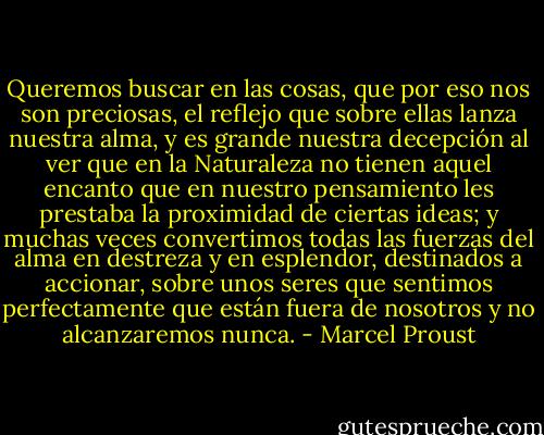 Queremos buscar en las cosas, que por eso nos son preciosas, el reflejo que sobre ellas lanza nuestra alma, y es grande nuestra decepción al ver que en la Naturaleza no tienen aquel encanto que en nuestro pensamiento les prestaba la proximidad de ciertas ideas; y muchas veces convertimos todas las fuerzas del alma en destreza y en esplendor, destinados a accionar, sobre unos seres que sentimos perfectamente que están fuera de nosotros y no alcanzaremos nunca. - Marcel Proust