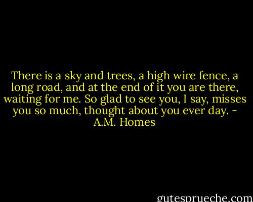 There is a sky and trees, a high wire fence, a long road, and at the end of it you are there, waiting for me. So glad to see you, I say, misses you so much, thought about you ever day. - A.M. Homes