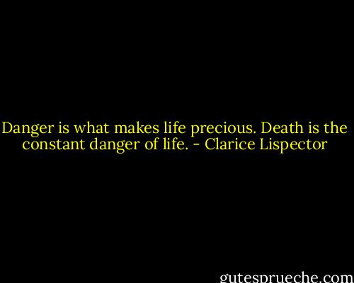 Danger is what makes life precious. Death is the constant danger of life. - Clarice Lispector