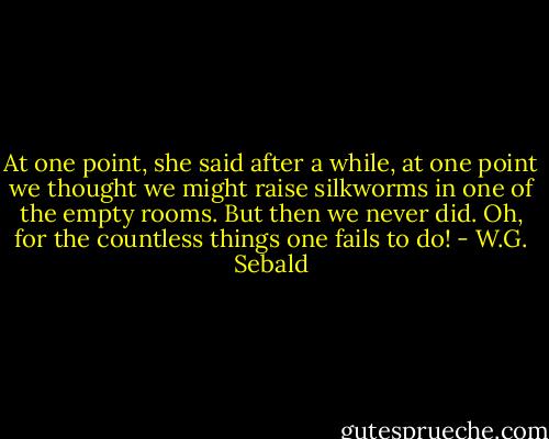At one point, she said after a while, at one point we thought we might raise silkworms in one of the empty rooms. But then we never did. Oh, for the countless things one fails to do! - W.G. Sebald