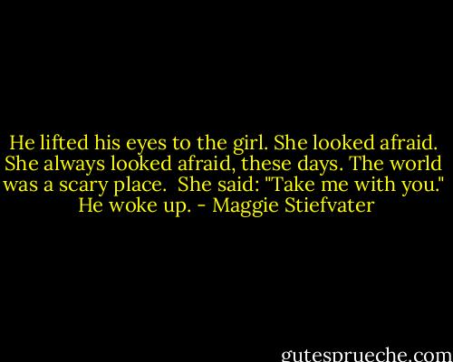 He lifted his eyes to the girl. She looked afraid. She always looked afraid, these days. The world was a scary place.<br /> She said: "Take me with you."<br /> He woke up. - Maggie Stiefvater