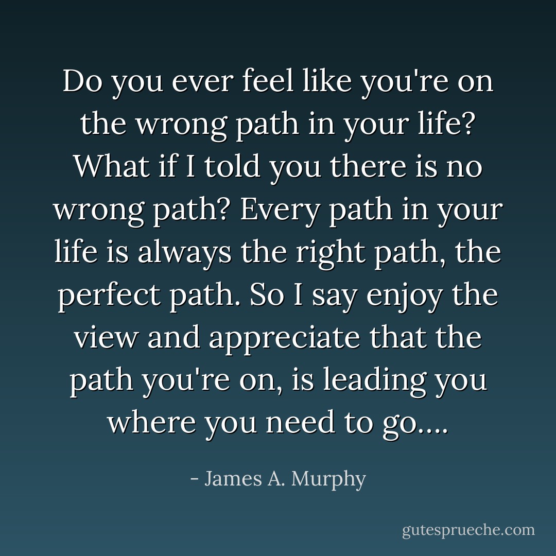 Do you ever feel like you're on the wrong path in your life? What if I told you there is no wrong path? Every path in your life is always the right path, the perfect path. So I say enjoy the view and appreciate that the path you're on, is leading you where you need to go…. - James A. Murphy