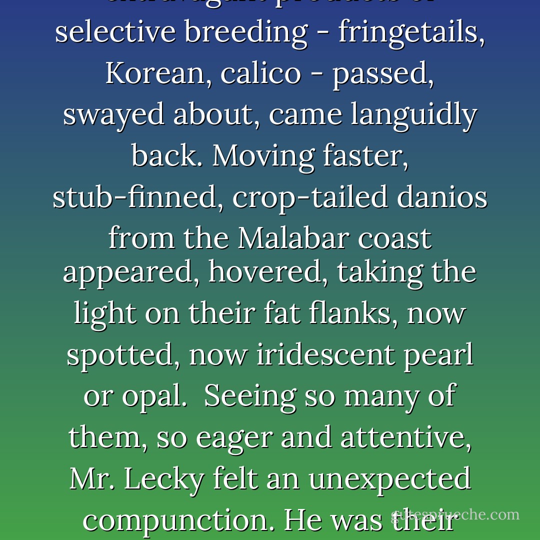 Traveling on, the shaft of his light reached now a great, dully shining oblong, and he stopped, surprised. Then, through the glass sides, he saw bright shapes of fish wheel in schools down the opaque water, startled by the illumination. Coming at last, and so suddenly, on life like his own, Mr. Lecky moved closer. The fixed flood of his light enveloped these small fish dimly, glowed back on him. They came sliding, drifting, mouths in motion, gills rippling, up the light, against the glass. Their senseless round eyes stared at Mr. Lecky. Idling with great grace, the extravagant products of selective breeding - fringetails, Korean, calico - passed, swayed about, came languidly back. Moving faster, stub-finned, crop-tailed danios from the Malabar coast appeared, hovered, taking the light on their fat flanks, now spotted, now iridescent pearl or opal.<br /><br />Seeing so many of them, so eager and attentive, Mr. Lecky felt an unexpected compunction. He was their only proprietor; and soon, trapped unnaturally here in the big tank, they would starve to death. His light went back to a counter he had just passed, showing him again the half-noticed packages - food for birds and pet animals, food, too, for fish. Returning to the tank, his light found many of the fish still waiting, the rest rushing back. He went and took a package, tore the top off, and poured the contents onto the rectangle of open water. It would perhaps postpone the time when, having eaten each other, the sick remainder must die anyway. - James Gould Cozzens