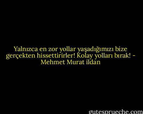 Yalnızca en zor yollar yaşadığımızı bize gerçekten hissettirirler! Kolay yolları bırak! - Mehmet Murat ildan