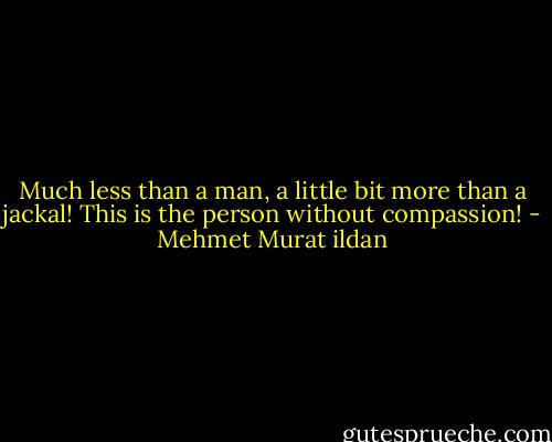 Much less than a man, a little bit more than a jackal! This is the person without compassion! - Mehmet Murat ildan