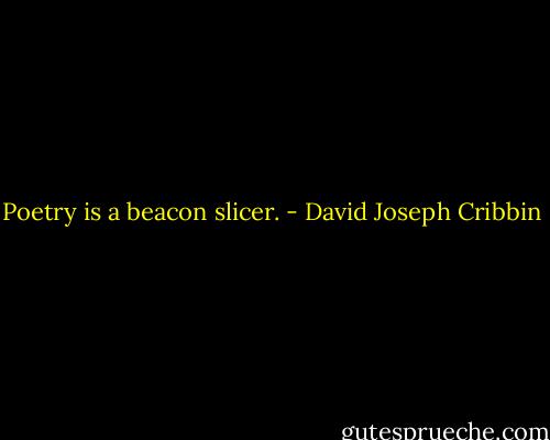 Poetry is a beacon slicer. - David Joseph Cribbin