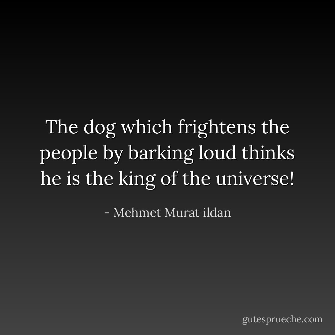 The dog which frightens the people by barking loud thinks he is the king of the universe! - Mehmet Murat ildan