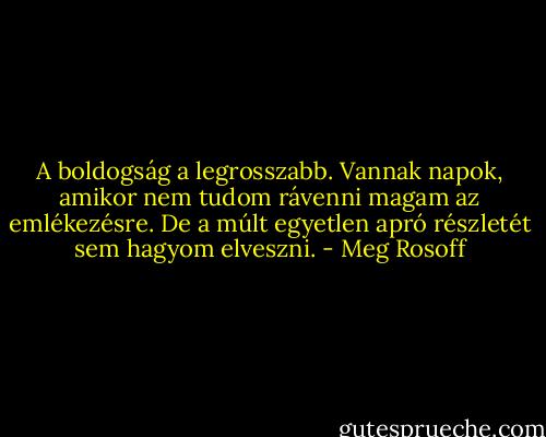 A boldogság a legrosszabb. Vannak napok, amikor nem tudom rávenni magam az emlékezésre. De a múlt egyetlen apró részletét sem hagyom elveszni. - Meg Rosoff