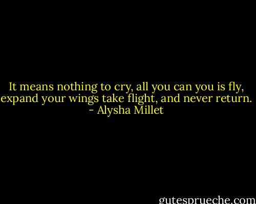 It means nothing to cry, all you can you is fly, expand your wings take flight, and never return. - Alysha Millet