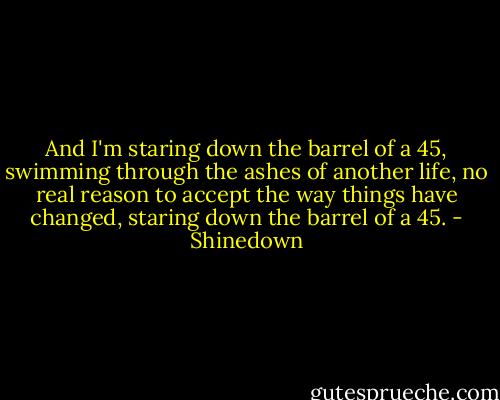 And I'm staring down the barrel of a 45,<br />swimming through the ashes of another life,<br />no real reason to accept the way things have changed,<br />staring down the barrel of a 45. - Shinedown