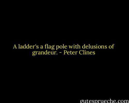 A ladder's a flag pole with delusions of grandeur. - Peter Clines