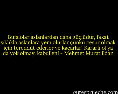 Bufalolar aslanlardan daha güçlüdür, fakat sıklıkla aslanlara yem olurlar çünkü cesur olmak için tereddüt ederler ve kaçarlar! Kararlı ol ya da yok olmayı kabullen! - Mehmet Murat ildan