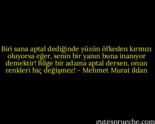 Biri sana aptal dediğinde yüzün öfkeden kırmızı oluyorsa eğer, senin bir yanın buna inanıyor demektir! Bilge bir adama aptal dersen, onun renkleri hiç değişmez! - Mehmet Murat ildan