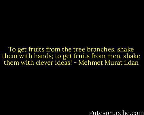 To get fruits from the tree branches, shake them with hands; to get fruits from men, shake them with clever ideas! - Mehmet Murat ildan