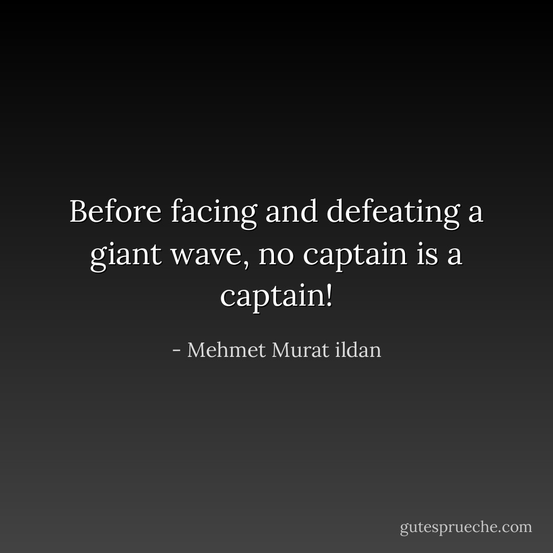 Before facing and defeating a giant wave, no captain is a captain! - Mehmet Murat ildan
