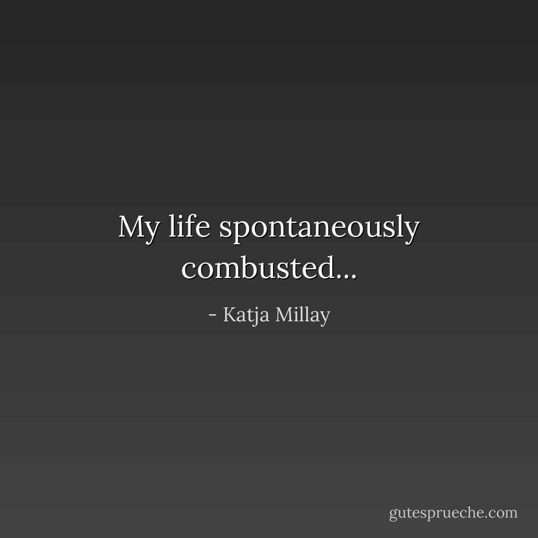 My life spontaneously combusted... - Katja Millay