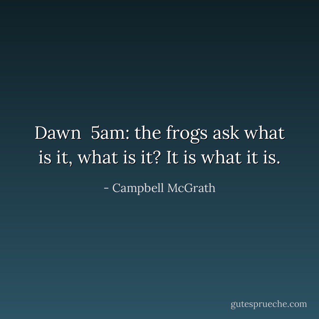 Dawn<br /><br />5am: the frogs<br />ask what is it, what is it?<br />It is what it is. - Campbell McGrath