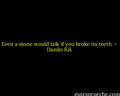 Even a stone would talk if you broke its teeth. - Danilo Kiš