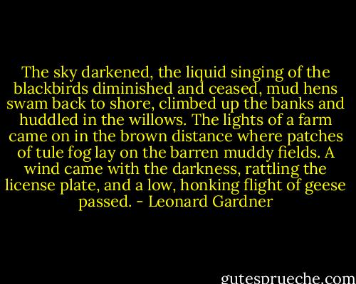 The sky darkened, the liquid singing of the blackbirds diminished and ceased, mud hens swam back to shore, climbed up the banks and huddled in the willows. The lights of a farm came on in the brown distance where patches of tule fog lay on the barren muddy fields. A wind came with the darkness, rattling the license plate, and a low, honking flight of geese passed. - Leonard Gardner