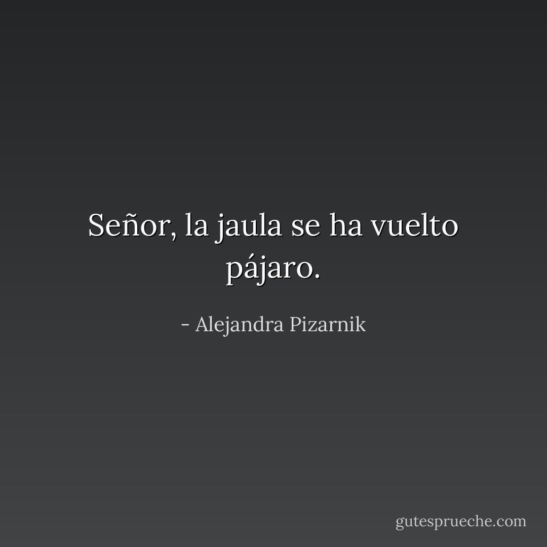 Señor,<br />la jaula se ha vuelto pájaro. - Alejandra Pizarnik