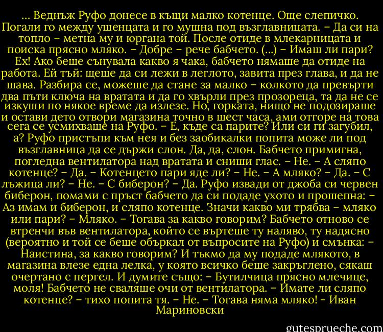 … Веднъж Руфо донесе в къщи малко котенце. Още слепичко. Погали го между ушенцата и го мушна под възглавницата.<br />– Да си на топло – метна му и юргана той. После отиде в млекарницата и поиска прясно мляко.<br />– Добре – рече бабчето. (...) – Имаш ли пари?<br />Ех!<br />Ако беше сънувала какво я чака, бабчето нямаше да отиде на работа. Ей тъй: щеше да си лежи в леглото, завита през глава, и да не шава. Разбира се, можеше да стане за малко – колкото да превърти два пъти ключа на вратата и да го хвърли през прозореца, та да не се изкуши по някое време да излезе.<br />Но, горката, нищо не подозираше и остави дето отвори магазина точно в шест часа, ами отгоре на това сега се усмихваше на Руфо.<br />– Е, къде са парите? Или си ги загубил, а?<br />Руфо пристъпи към нея и без заобикалки попита може ли под възглавница да се държи слон. Да, да, слон. Бабчето примигна, погледна вентилатора над вратата и сниши глас.<br />– Не.<br />– А сляпо котенце?<br />– Да.<br />– Котенцето пари яде ли?<br />– Не.<br />– А мляко?<br />– Да.<br />– С лъжица ли?<br />– Не.<br />– С биберон?<br />– Да.<br />Руфо извади от джоба си червен биберон, помами с пръст бабчето да си подаде ухото и прошепна:<br />– Аз имам и биберон, и сляпо котенце. Значи какво ми трябва – мляко или пари?<br />– Мляко.<br />– Тогава за какво говорим?<br />Бабчето отново се втренчи във вентилатора, който се въртеше ту наляво, ту надясно (вероятно и той се беше объркал от въпросите на Руфо) и смънка:<br />– Наистина, за какво говорим?<br />И тъкмо да му подаде млякото, в магазина влезе една лелка, у която всичко беше закръглено, сякаш очертано с пергел. И думите също:<br />– Бутилчица прясно млечице, моля!<br />Бабчето не сваляше очи от вентилатора.<br />– Имате ли сляпо котенце? – тихо попита тя.<br />– Не.<br />– Тогава няма мляко! - Иван Мариновски