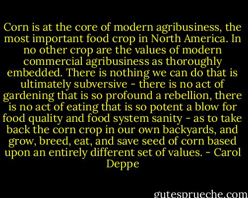 Corn is at the core of modern agribusiness, the most important food crop in North America. In no other crop are the values of modern commercial agribusiness as thoroughly embedded. There is nothing we can do that is ultimately subversive - there is no act of gardening that is so profound a rebellion, there is no act of eating that is so potent a blow for food quality and food system sanity - as to take back the corn crop in our own backyards, and grow, breed, eat, and save seed of corn based upon an entirely different set of values. - Carol Deppe
